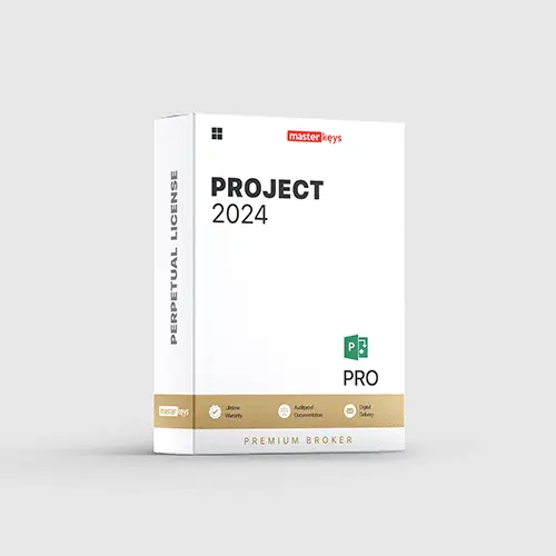 PROJECT 2024 PROFESSIONAL