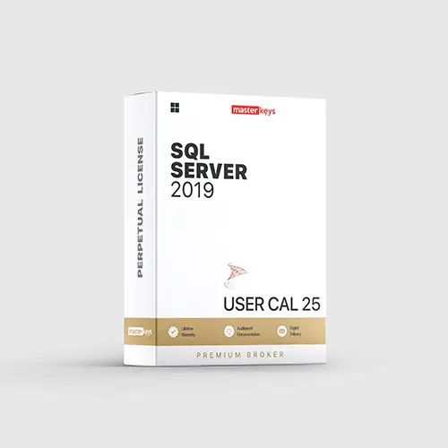 SQL SERVER 2019 - USER CAL 25