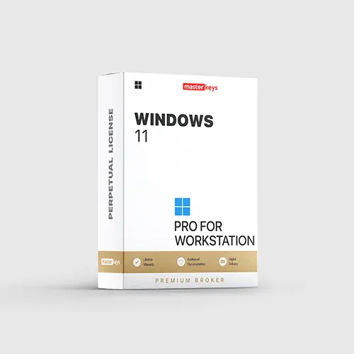 WINDOWS 11 PRO FOR WORKSTATION