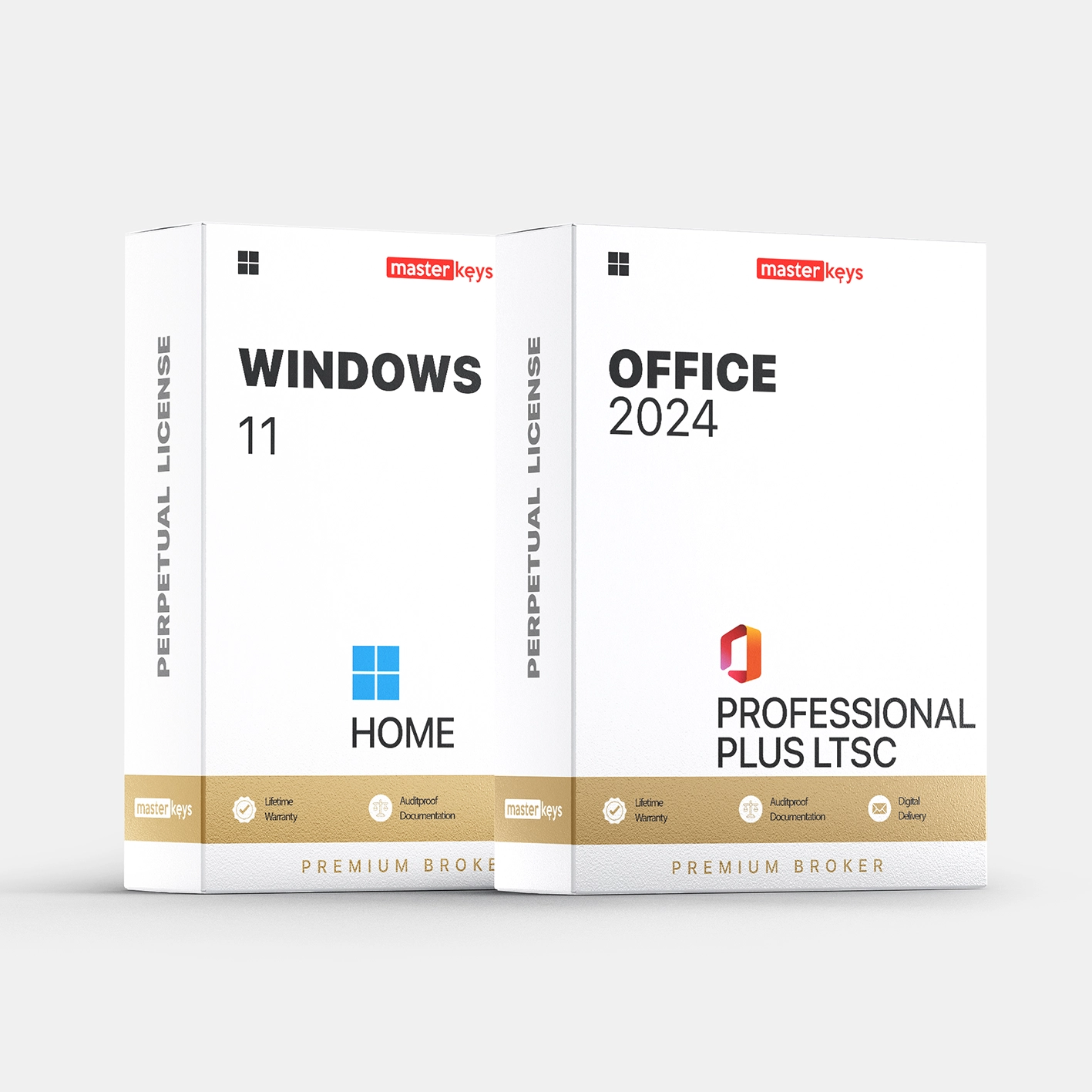 WINDOWS 11 HOME & OFFICE 2024 PROFESSIONAL PLUS